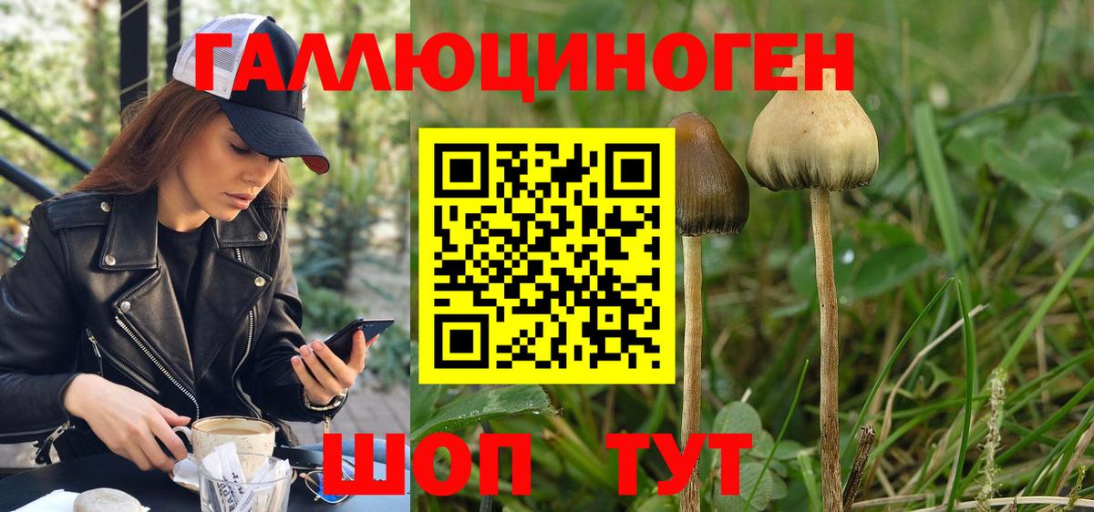 Галлюциногенные грибы мицелий Севастополь