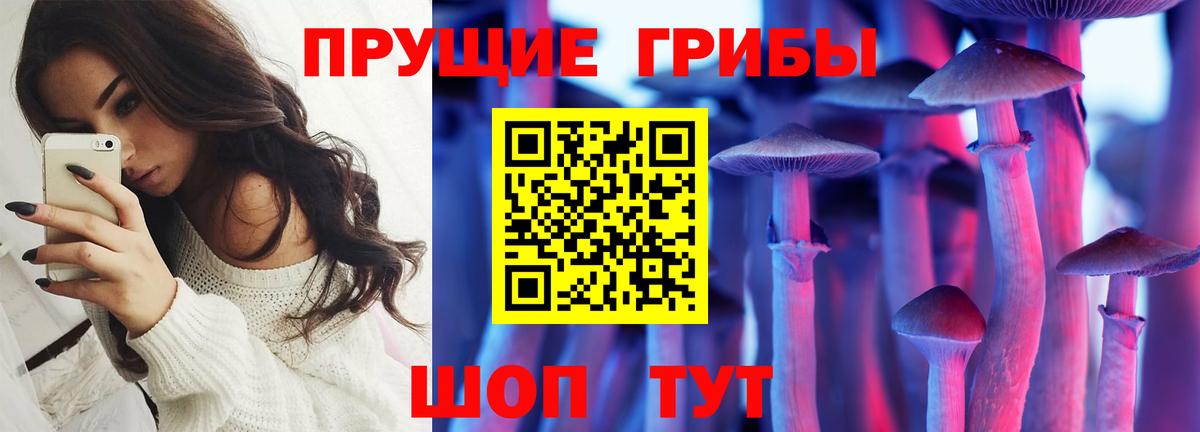 Псилоцибиновые грибы Magic Shrooms  где можно купить   Псилоцибиновые грибы мухоморы  Севастополь  Вход с VPN 