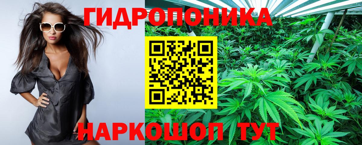 Бошки марихуана марихуана  Вход с VPN  Конопля гибрид  Конопля LSD WEED  Севастополь 